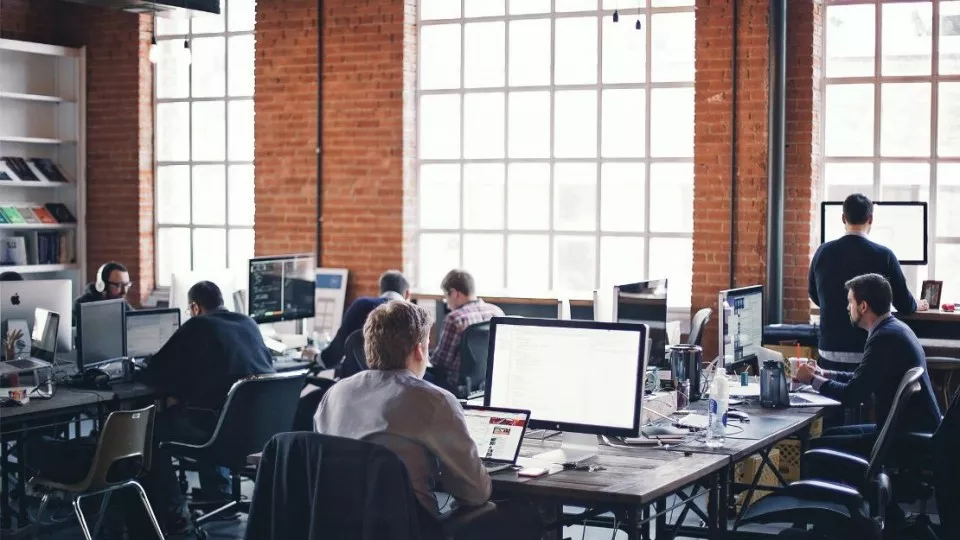 Как выбрать веб-студию в Любани по кейсам