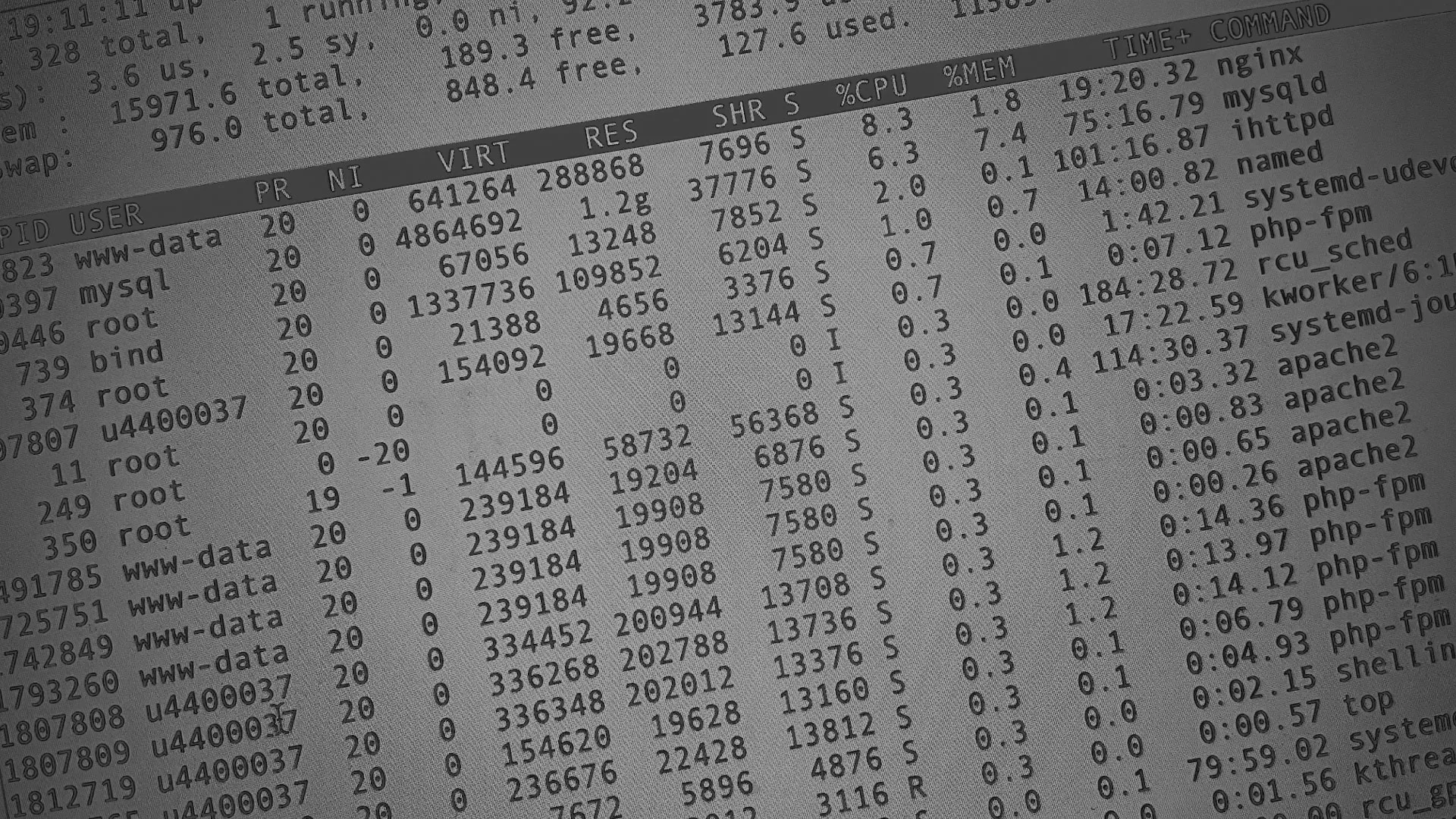 Настройка сервера в Любани