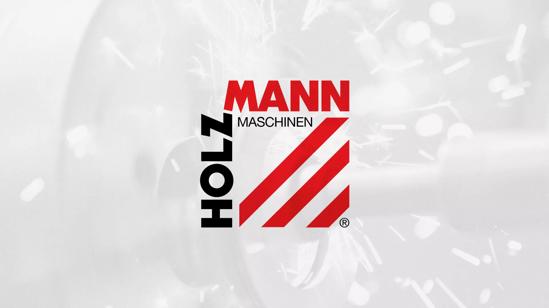 Создание сайта компании «HOLZMANN Maschinen GmbH» в Любани